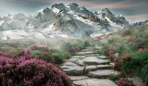 Rocky Path