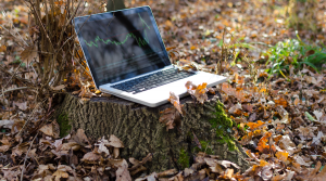 Computer on log