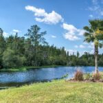 Florida landscape