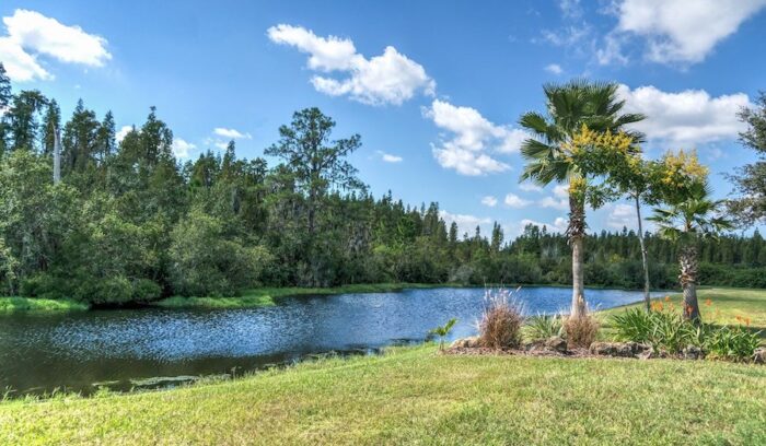 Florida landscape